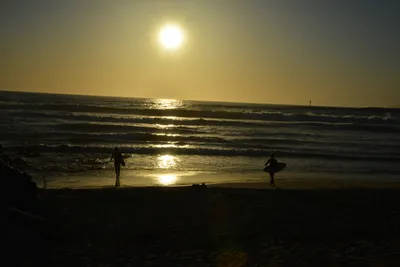 DSC_7281 (Large).JPG